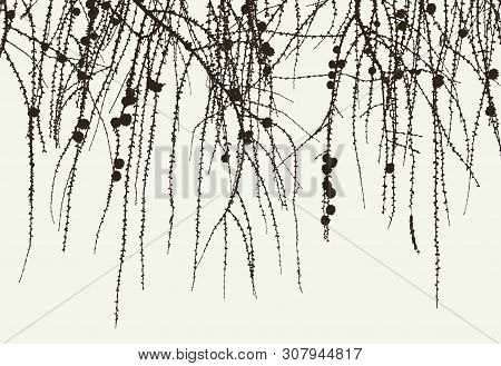 Vector Image Of Silhouettes Ofa  Pine Tree In The Cold Season
