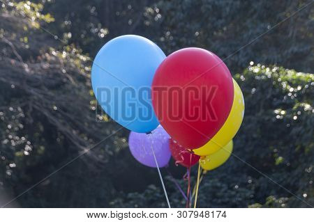 A Close Up View Of A Bunch Of Colourful Ballons Tired With Ridden