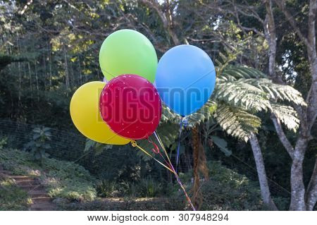 A Close Up View Of A Bunch Of Colourful Ballons Tired With Ridden
