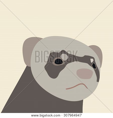Illustration Of Ferret Head In Flat Style. Character, Can Be Used Like Sticker Or Printing