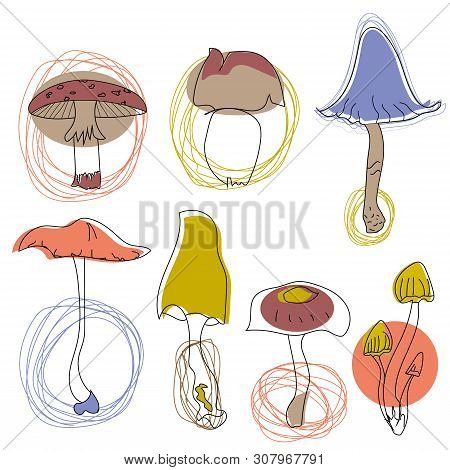 Mushrooms Isolated On White Background. Kitchen And Home Decoration Series.