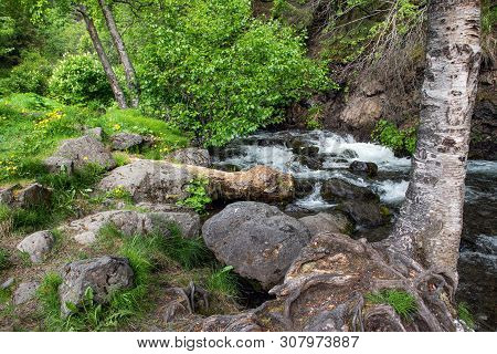 Mc Hugh Creek In Turnagain Arm South Of Anchorage In Alaska,