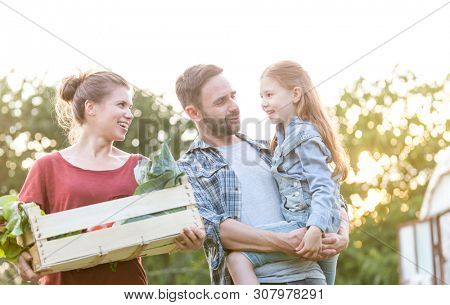 Happy family with vegetables in crate talking at farm against sky