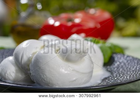 Twisted To Form A Plait Treccia Mozzarella Italian Soft Cheese Served With Fresh Basil And Tomatoes 