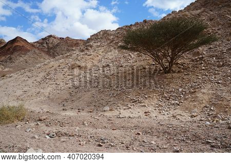 Hiking In The Wadi Shahamon, South Israel