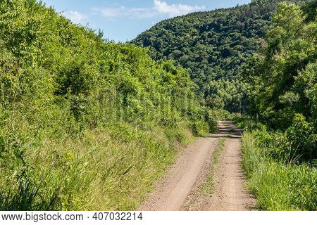 Dirty Road With Forest Around