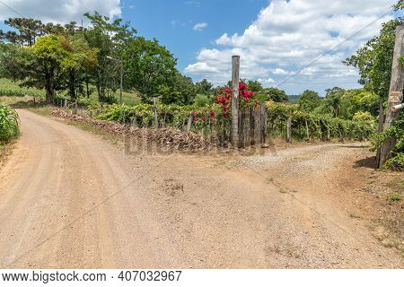 Dirty Road And Farm Gate With Flowers And Plants, Picada Cafe, Rio Grande Do Sul, Brazil