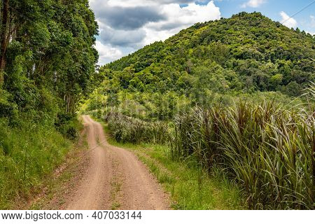 Dirty Road With  Forest  And Mountain Around