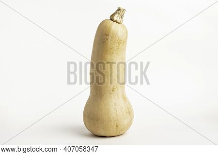 A Close-up Shot Of A Butternut Squash Set On A Plain White Background.