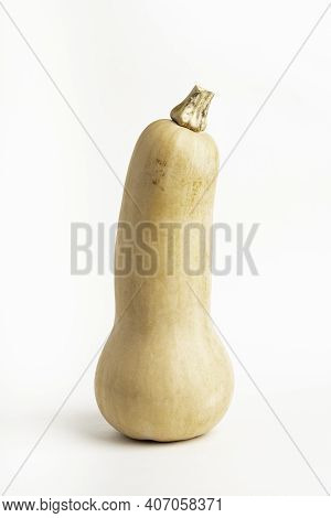 A Close-up Shot Of A Butternut Squash Set On A Plain White Background.