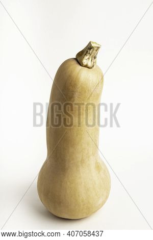 A Close-up Shot Of A Butternut Squash Set On A Plain White Background.