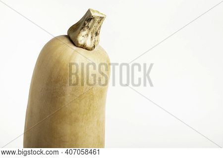 A Close-up Shot Of A Butternut Squash Set On A Plain White Background.