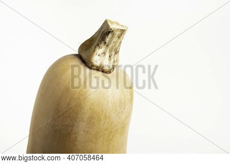 A Close-up Shot Of A Butternut Squash Set On A Plain White Background.