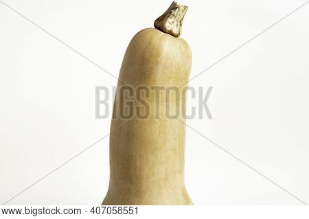 A Close-up Shot Of A Butternut Squash Set On A Plain White Background.