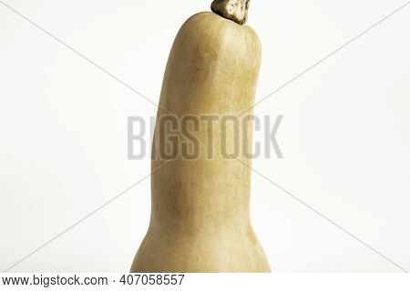 A Close-up Shot Of A Butternut Squash Set On A Plain White Background.