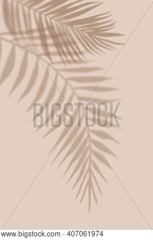 Shadows From Tropical Palm Leaves. Light Pastel Background With Shadow. Illustration For Cover, Tren