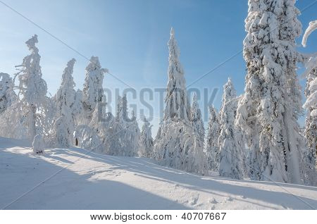 Invierno