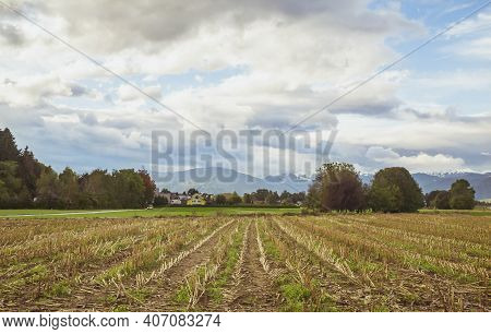 Rural Land In Slovenia Overlooking The Alps