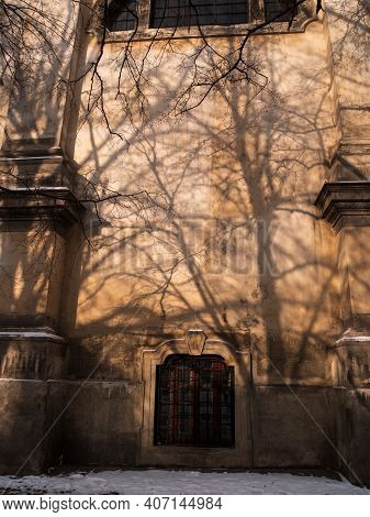 Abstract Background Of Brown Wall With Shadows From Trees Beautiful Vintage Wooden Door Wondow Antiq