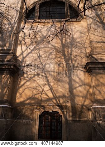 Abstract Background Of Brown Wall With Shadows From Trees Beautiful Vintage Wooden Door Wondow Antiq