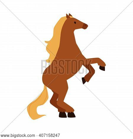 Cute Brown Prancing Pony Isolated On White Background.