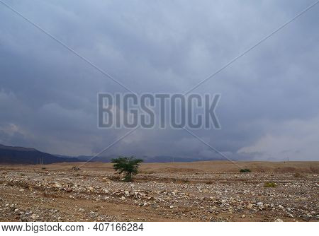 Hiking In Evening In Shehoret Mountains, South Israel
