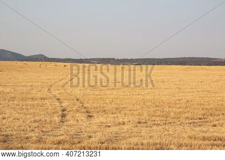 Landscapes Of Andalusia In Spain /wild Nature In The Fields Of Andalusia