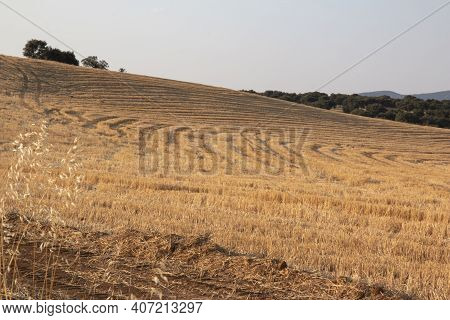 Landscapes Of Andalusia In Spain / Wild Nature In The Fields Of Andalusia