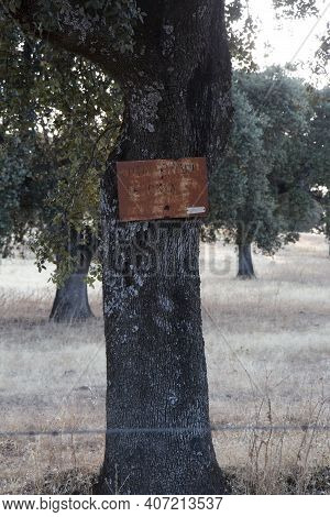 Rusty Hunting Ground Sign In Spanish / Trees And Wild Nature In The Fields Of Andalusia