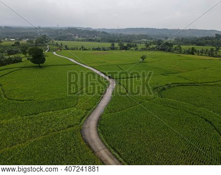 Aerial View Of Rice Fields On Terraced Of Cariu With Noise Cloud After Rain, Bogor, Indonesia. Indon