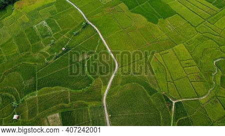 Aerial View Of Rice Fields On Terraced Of Cariu, Bogor, Indonesia. Indonesia Landscapes. Bogor - Ind