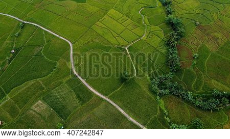 Aerial View Of Rice Fields On Terraced Of Cariu, Bogor, Indonesia. Indonesia Landscapes. Bogor - Ind