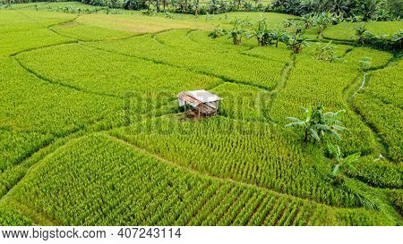 Aerial View Of Rice Fields On Terraced Of Cariu, Bogor, Indonesia. Indonesia Landscapes. Bogor - Ind