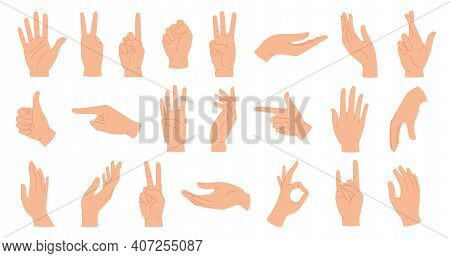 Hands Poses. Female Hand Holding And Pointing Gestures, Fingers Crossed, Fist, Peace And Thumb Up. C
