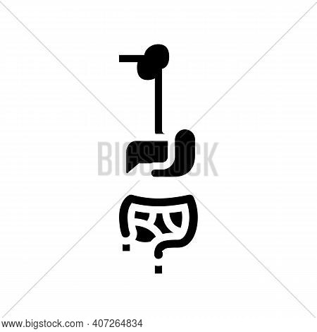 Digestive System Glyph Icon Vector. Digestive System Sign. Isolated Contour Symbol Black Illustratio