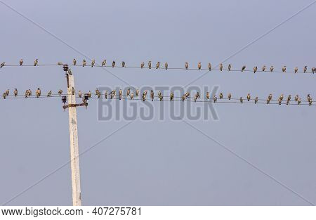 Mulvad, Karnataka, India - November 8, 2013: Double Electrical Cable Line Against Light Blue Sky Fil