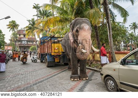 Fort Kochi, India - November 25, 2019: Temple elephant parked on the street in Fort Kochi, India. Street scene in Cochin, India