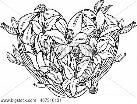 And Drawn Heart Ofblooming  Lilies, Leafs  And Buds In Ink Style
