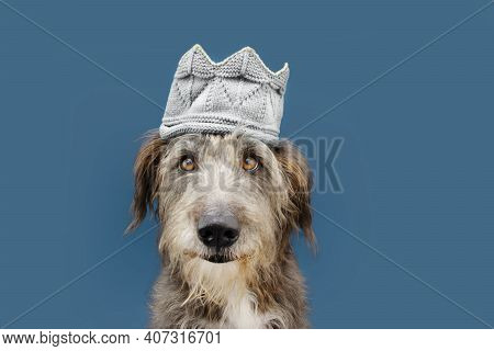 Dog Wearing A Crown For Carnival Or Halloween. King's House Concept. Isolated On Blue Background.