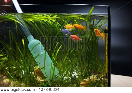 Clean Aqaurium With Gravel Cleaner Before To Change A Water.