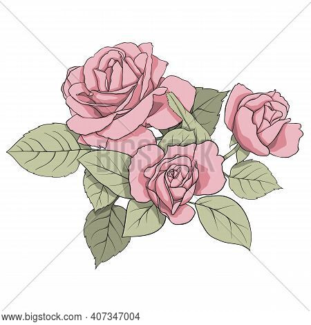 Omposition Of Delicate Pink Roses And Green Leaves. Illustration For Creating Cards, Decoration, Dec