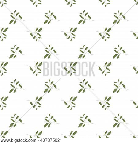 Abstract Green Leave Or Foliage On White Background. Hand Drawn Elements Brances In Natural Summer S
