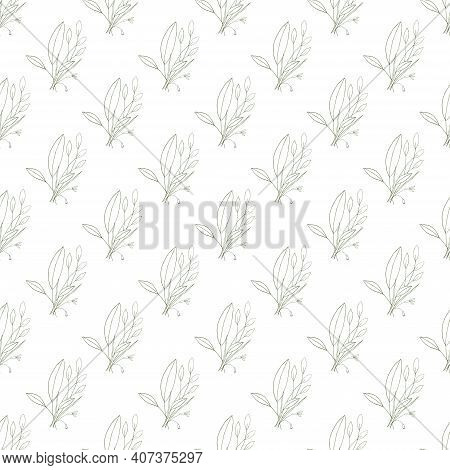 Abstract Green Leave Or Foliage On White Background. Hand Drawn Elements Brances In Natural Summer S