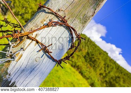 Barbed Wire On Wooden Beams In Vang I Valdres Norway.