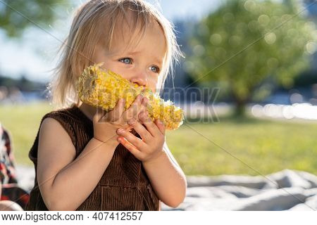Portrait Of Pretty Little Child Girl Eat Sweet Corn Cob, Sitting On Plaid On Grass In Summer Day. He
