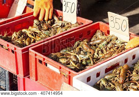 Live Crayfish In The Boxes At The Local Fermers Market Ready To Sale
