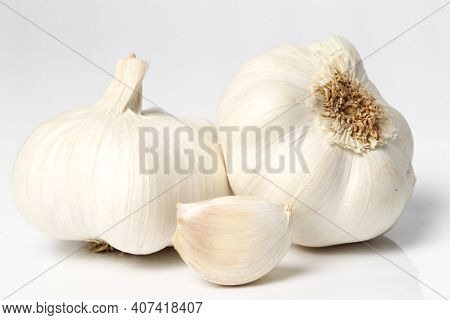 Garlic On A White Background High Quaity