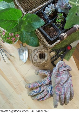 Set Of Garden Tools On A Wooden Table