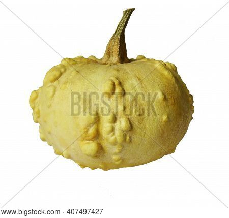 Decorative Yellow Pumpkin With Warts. Isolated On A White Background