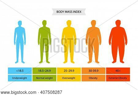 Body Mass Index Vector Photo Free Trial Bigstock